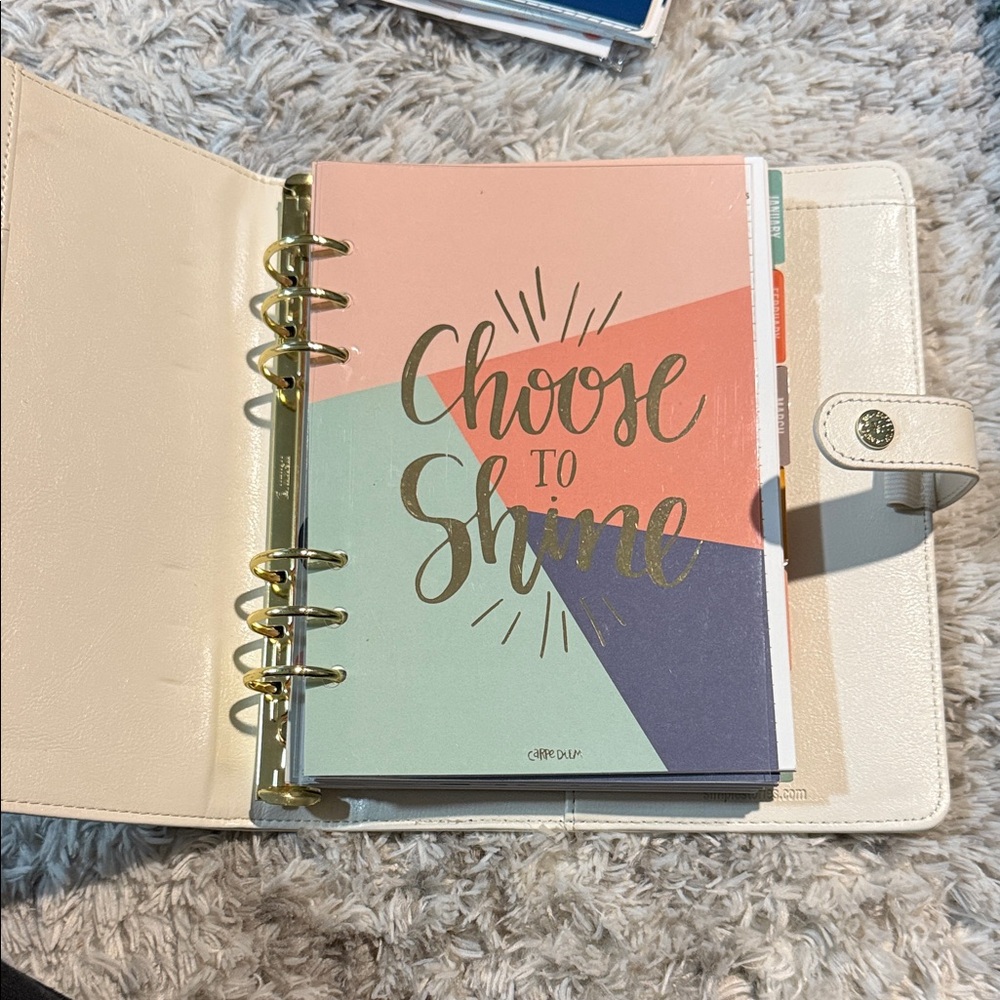 Carpe Diem Planner with Gold Accents and colorful pages